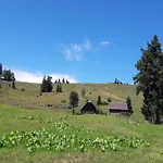 Am Wolfgangsee Lejlighed