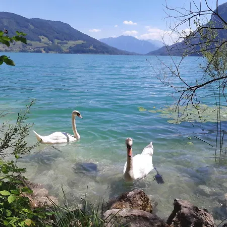 Apartment Laimer Am Wolfgangsee Strobl