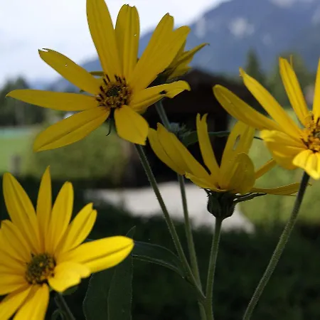 Apartment Laimer Am Wolfgangsee *