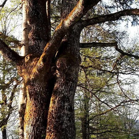 Διαμέρισμα Am Wolfgangsee *