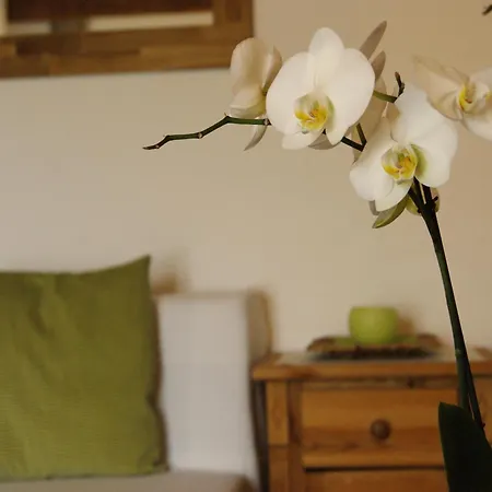 Apartament Am Wolfgangsee *