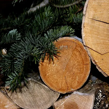 Apartment Am Wolfgangsee *