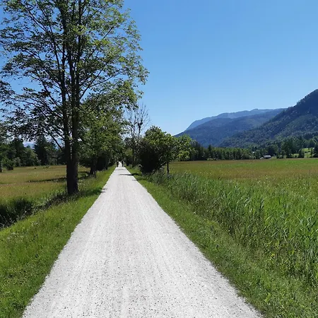 Am Wolfgangsee Daire Strobl