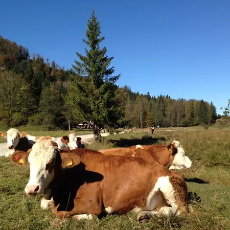 Apartament Am Wolfgangsee Strobl