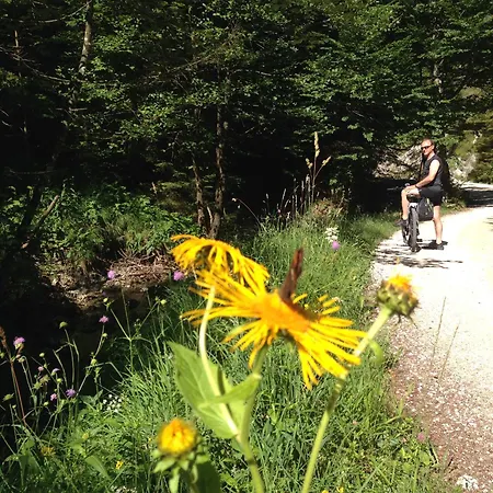 Am Wolfgangsee * Strobl