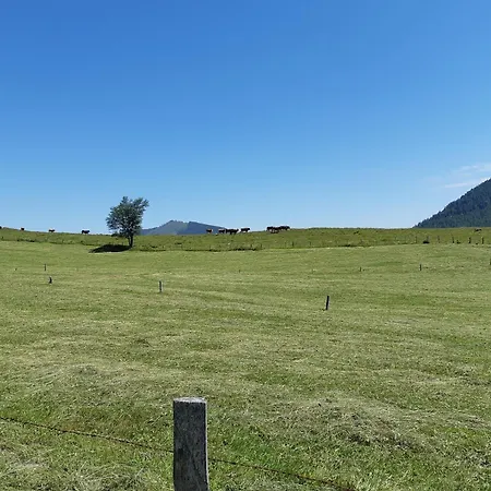 Am Wolfgangsee 아파트 *