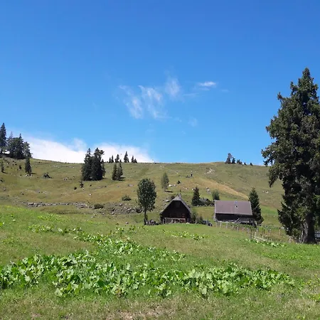 Am Wolfgangsee 아파트